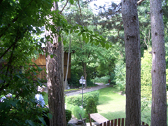 DSC01392.JPG