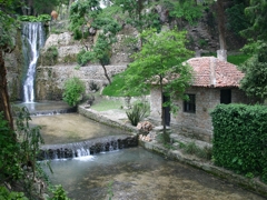 DSC4244.jpg
