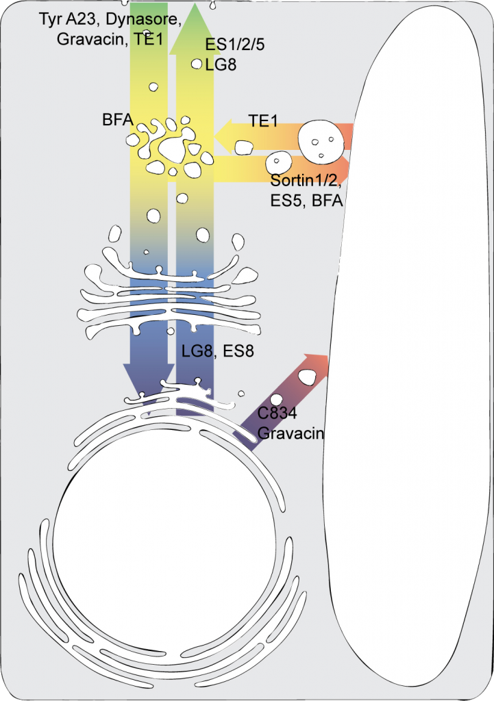 rge_fig-02