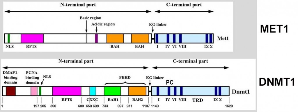 rge_fig-05